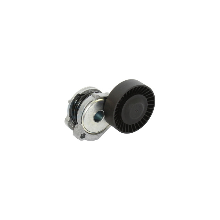 Rolka napinacza paska klinowego wielorowkowego Professional Parts 21438153