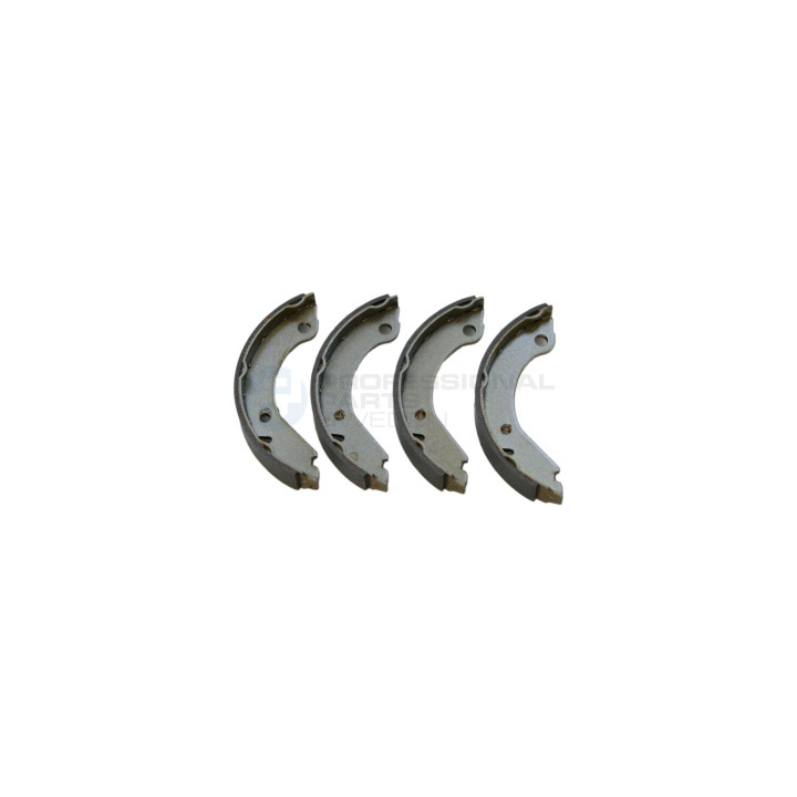 Zestaw szczęk hamulcowych Professional Parts 55436345