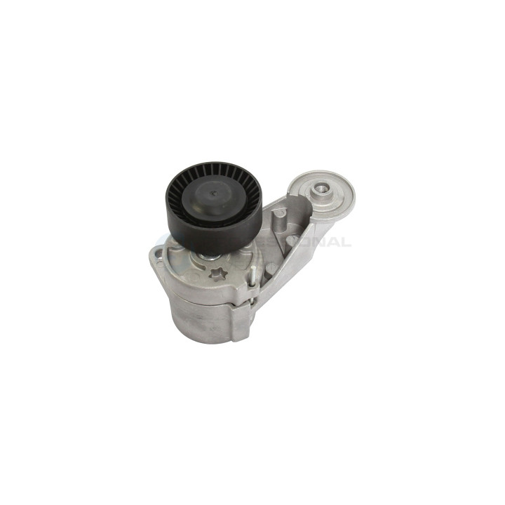 Rolka napinacza paska klinowego wielorowkowego Professional Parts 21431252