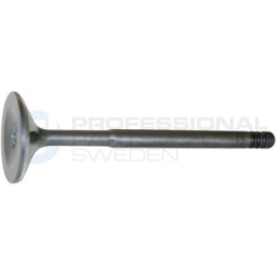 Zawór dolotowy Professional Parts 23434608