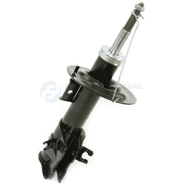 Amortyzator Professional Parts 72434195