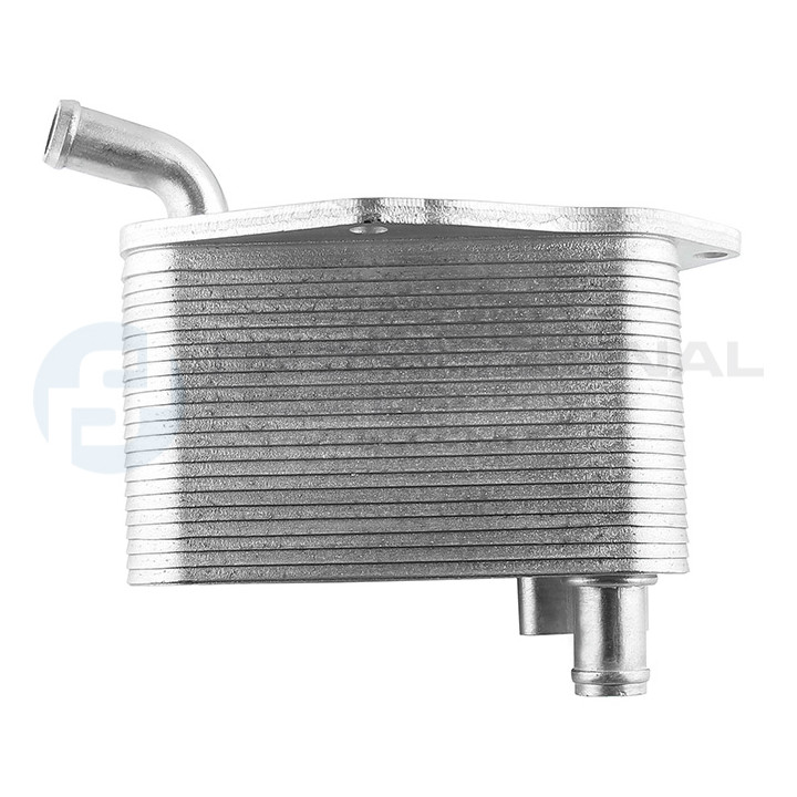 Chłodnica oleju silnika Professional Parts 22437620