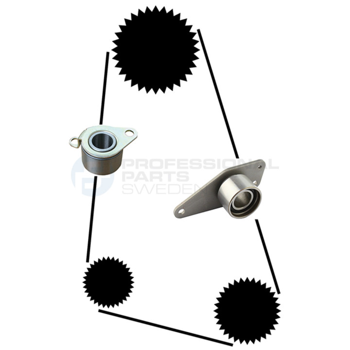 Zestaw paska rozrządu Professional Parts 21430004