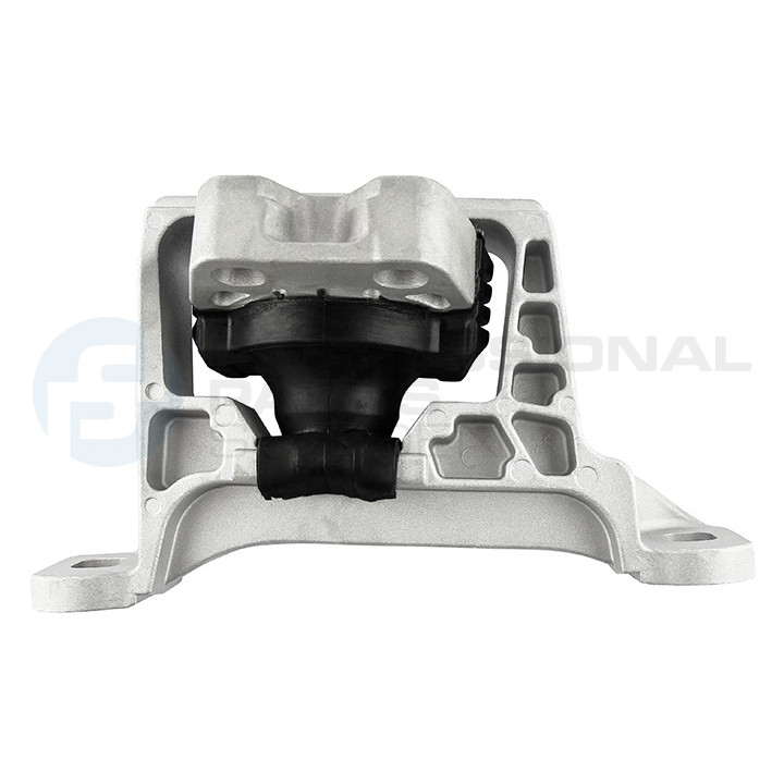 Poduszka silnika Professional Parts 62431666