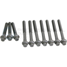 Śruba głowicy cylindrów Professional Parts 21437761