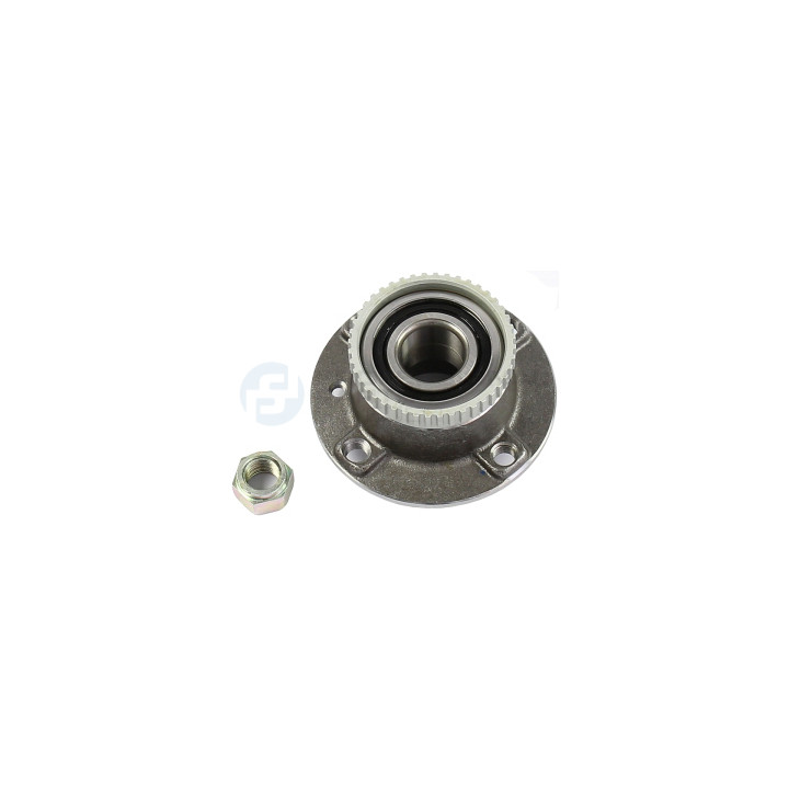 Piasta koła Professional Parts 77438261