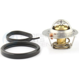 Termostat Professional Parts 26439958