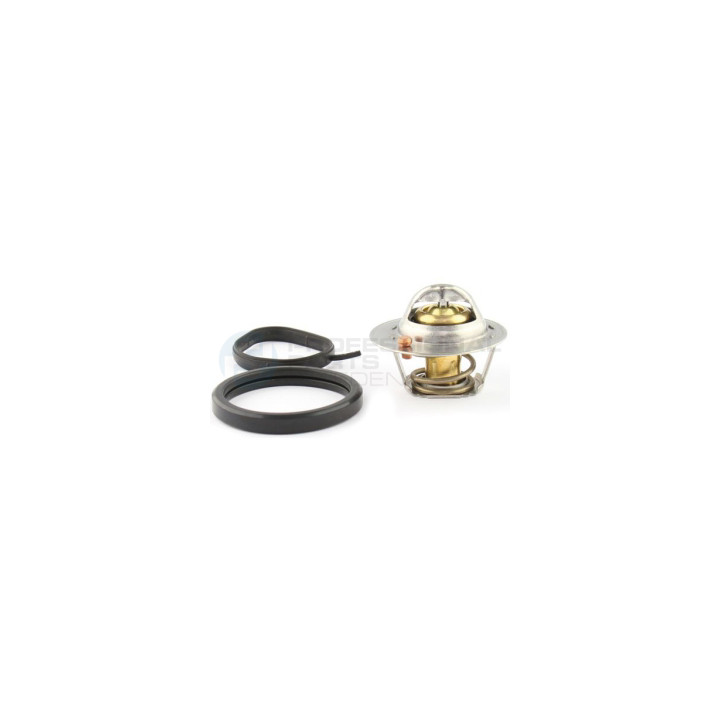 Termostat Professional Parts 26439958