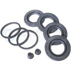 Zestaw naprawczy zacisku hamulcowego Professional Parts 51433321