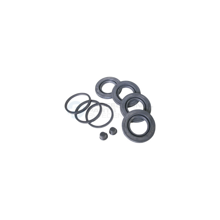Zestaw naprawczy zacisku hamulcowego Professional Parts 51433321