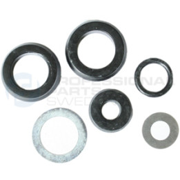 Zestaw naprawczy pompy hamulcowej Professional Parts 52433779