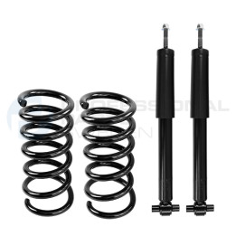 Zestaw zawieszenia sprężyna i amortyzator Professional Parts 72439513C