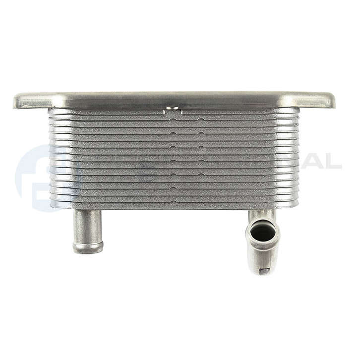 Chłodnica oleju silnika Professional Parts 22431912