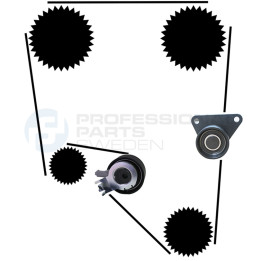 Zestaw paska rozrządu Professional Parts 21430015