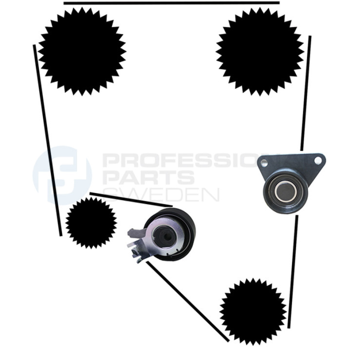 Zestaw paska rozrządu Professional Parts 21430015