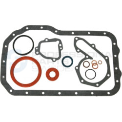 Zestaw uszczelek skrzyni korbowej Professional Parts 21432365