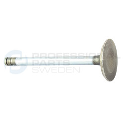 Zawór dolotowy Professional Parts 23434570