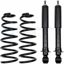 Zestaw zawieszenia sprężyna i amortyzator Professional Parts 72430056C