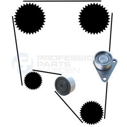 Zestaw paska rozrządu Professional Parts 21430021