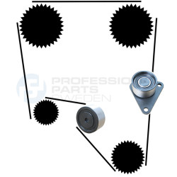 Zestaw paska rozrządu Professional Parts 21430021