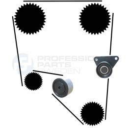 Zestaw paska rozrządu Professional Parts 21430012
