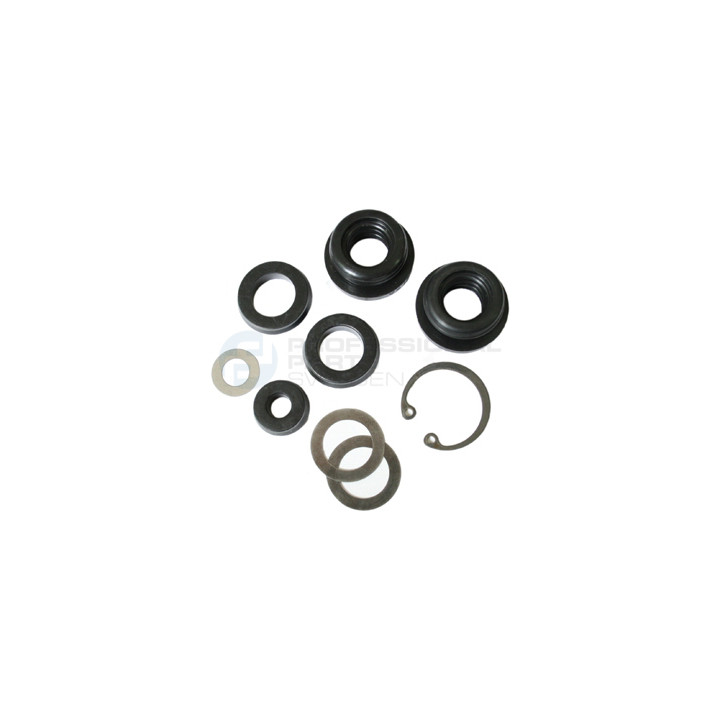 Zestaw naprawczy pompy hamulcowej Professional Parts 52433213
