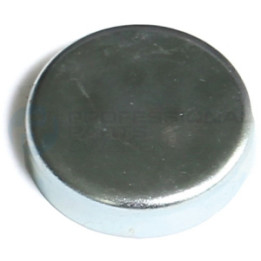 Brok zaślepka wałka rozrządu Professional Parts 21431239