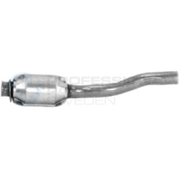 Katalizator Professional Parts 254390055
