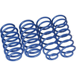 Sprężyna zawieszenia Professional Parts 43430016
