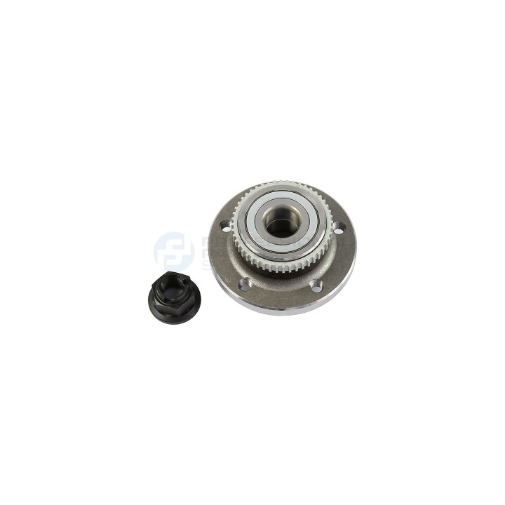 Piasta koła Professional Parts 77431795