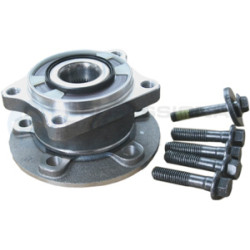Piasta koła Professional Parts 77439876