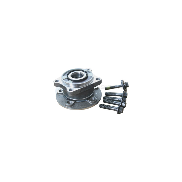 Piasta koła Professional Parts 77439876