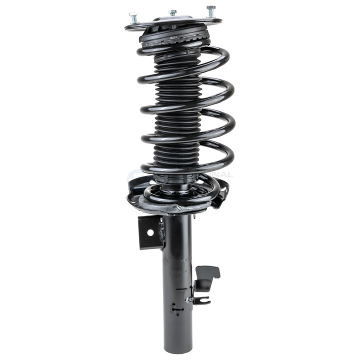 Zestaw zawieszenia sprężyna i amortyzator Professional Parts 72434720C