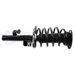 Zestaw zawieszenia sprężyna i amortyzator Professional Parts 72432510C