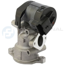 Zawór spalin EGR Professional Parts 87430980