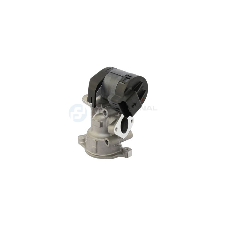 Zawór spalin EGR Professional Parts 87430980