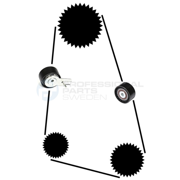 Zestaw paska rozrządu Professional Parts 21430034