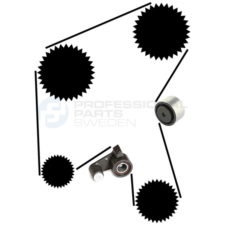 Zestaw paska rozrządu Professional Parts 21430026