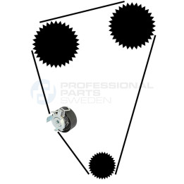 Zestaw paska rozrządu Professional Parts 21430031
