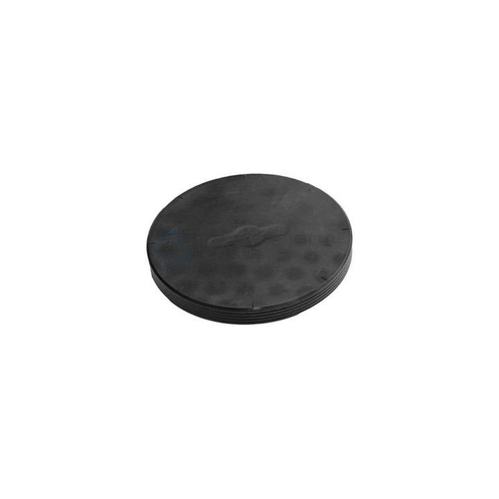 Brok zaślepka wałka rozrządu Professional Parts 21430381