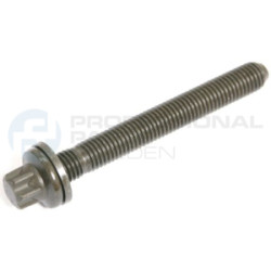 Śruba głowicy cylindrów Professional Parts 21438871