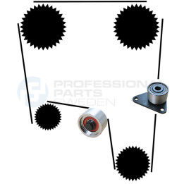 Zestaw paska rozrządu Professional Parts 21430011