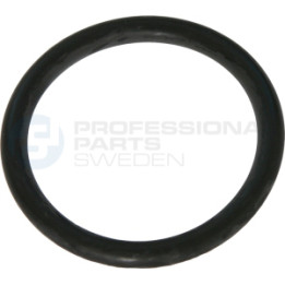 Uszczelka termostatu Professional Parts 21435455