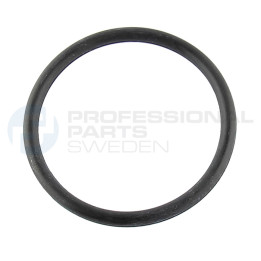 Uszczelka kolektora ssącego dolotowego Professional Parts 21437381