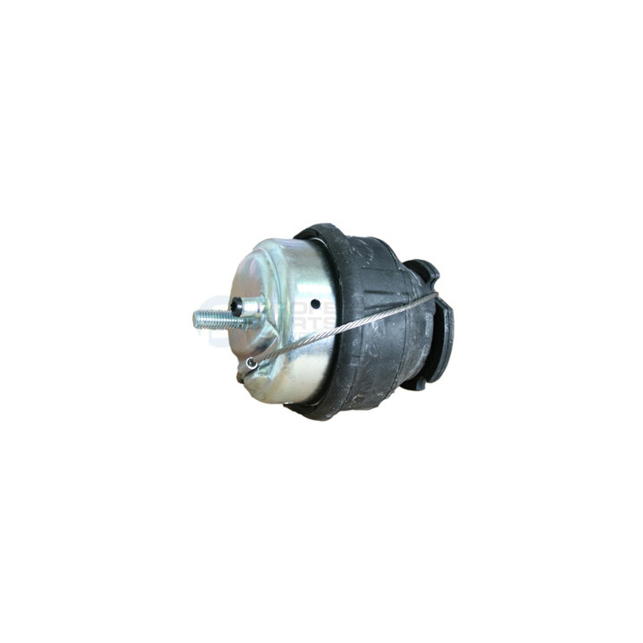 Poduszka silnika Professional Parts 62436175