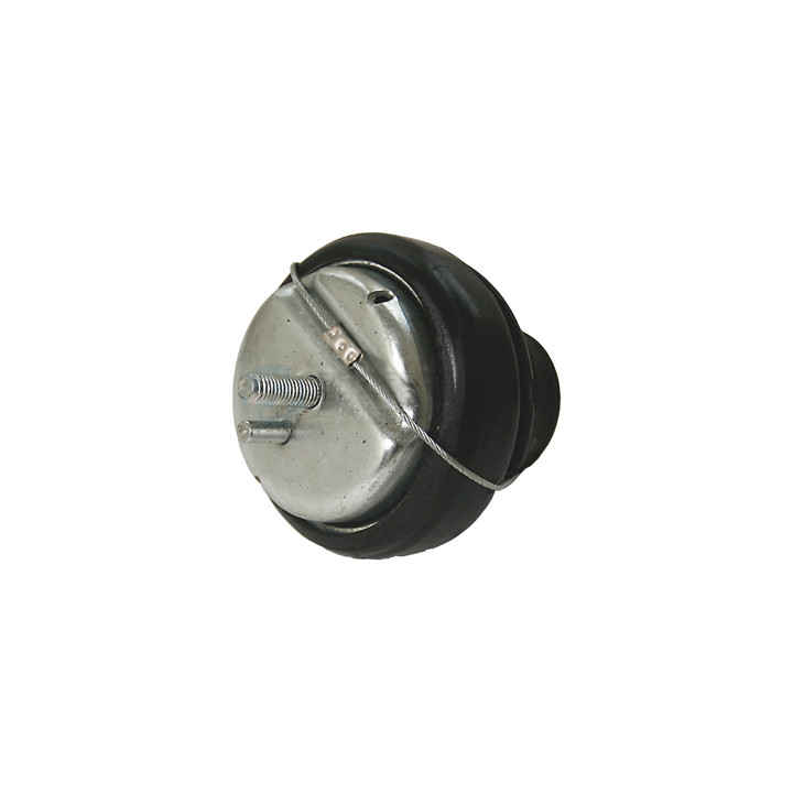 Poduszka silnika Professional Parts 62435551