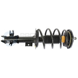Zestaw zawieszenia sprężyna i amortyzator Professional Parts 72434214C