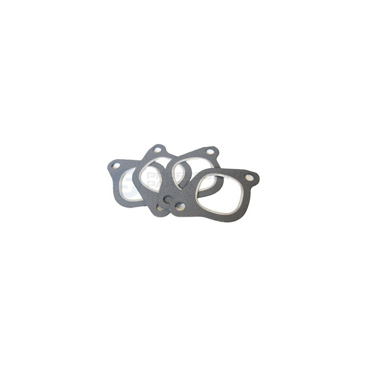 Uszczelka kolektora ssącego dolotowego Professional Parts 21431704