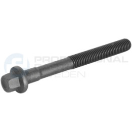 Śruba głowicy cylindrów Professional Parts 21437762