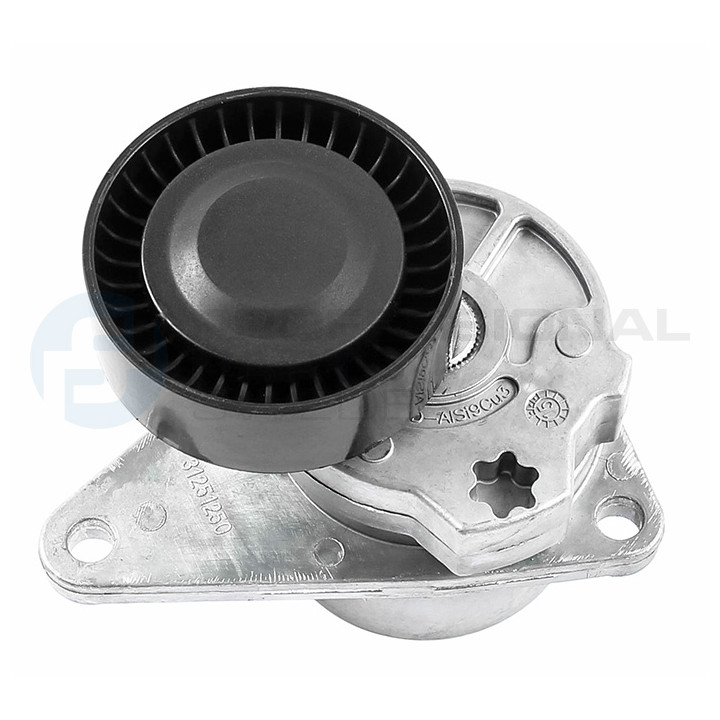 Rolka napinacza paska klinowego wielorowkowego Professional Parts 21437331